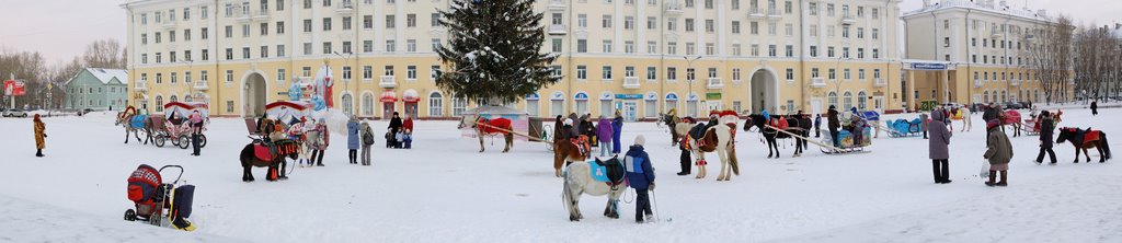 Новогодняя, лошадковая...