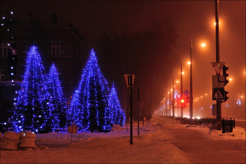Посинели ели...