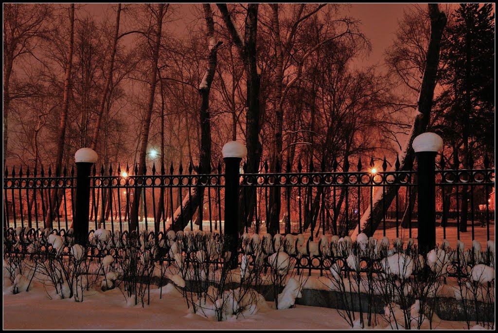 Вечером в парке (1)