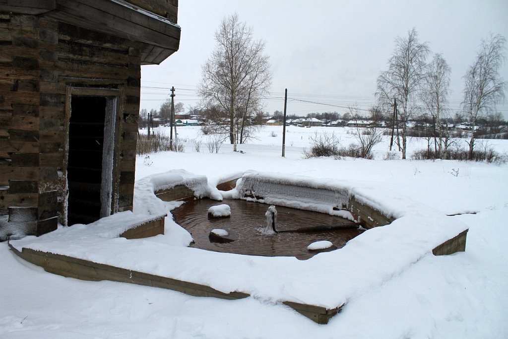 Источник с соленой водой