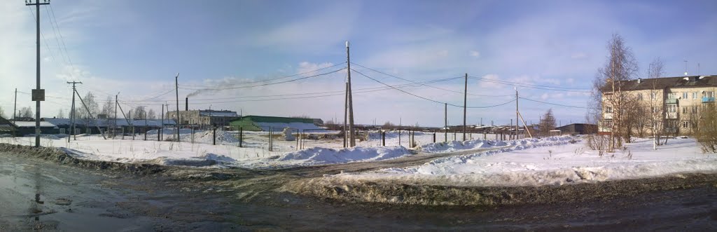 Стадион Холмогоры