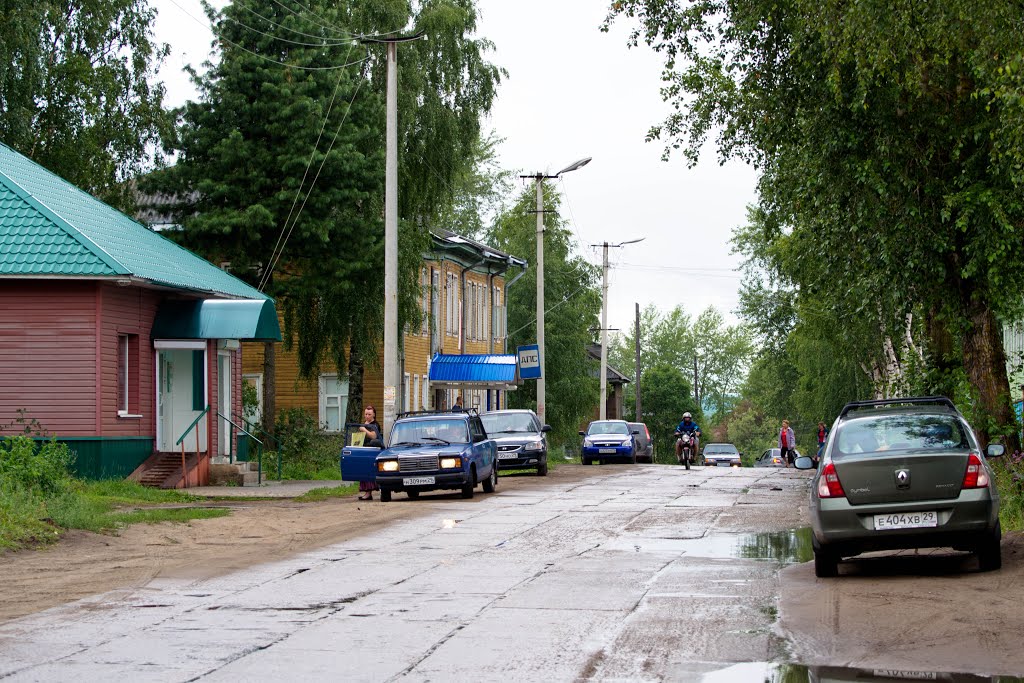 Шенкурск