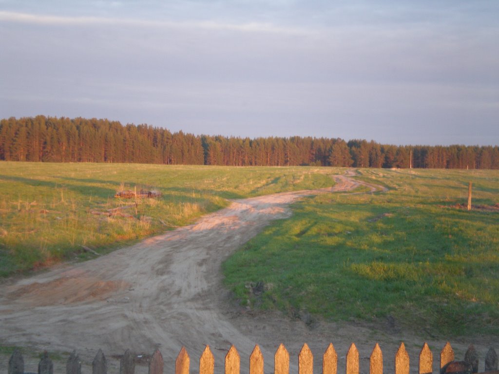 Шенкурск