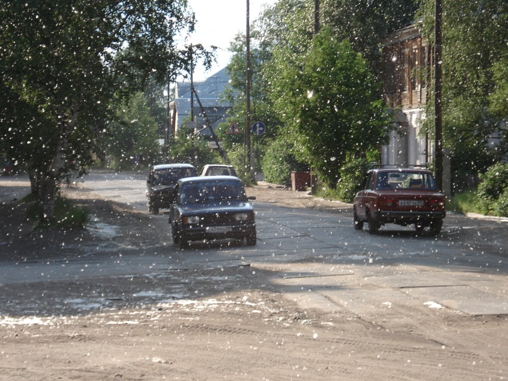 Шенкурск летом.