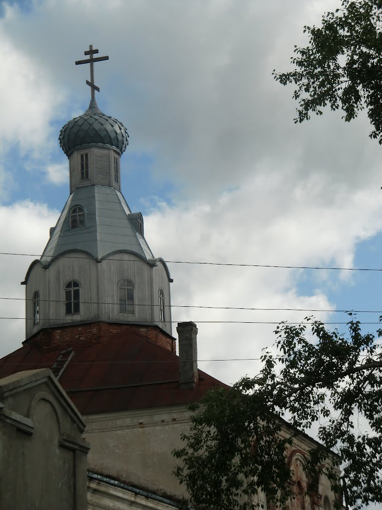 Шенкурск