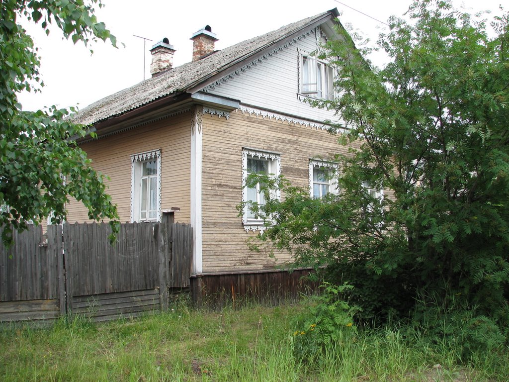 city Shenkursk, street Shukshina
