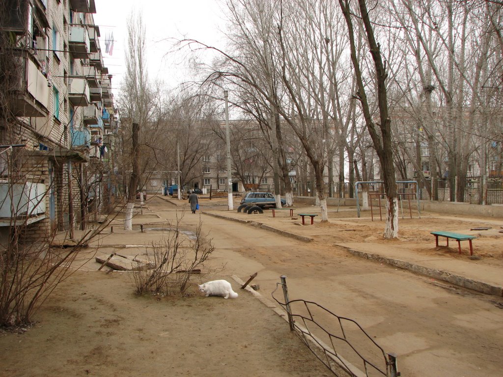 Двор