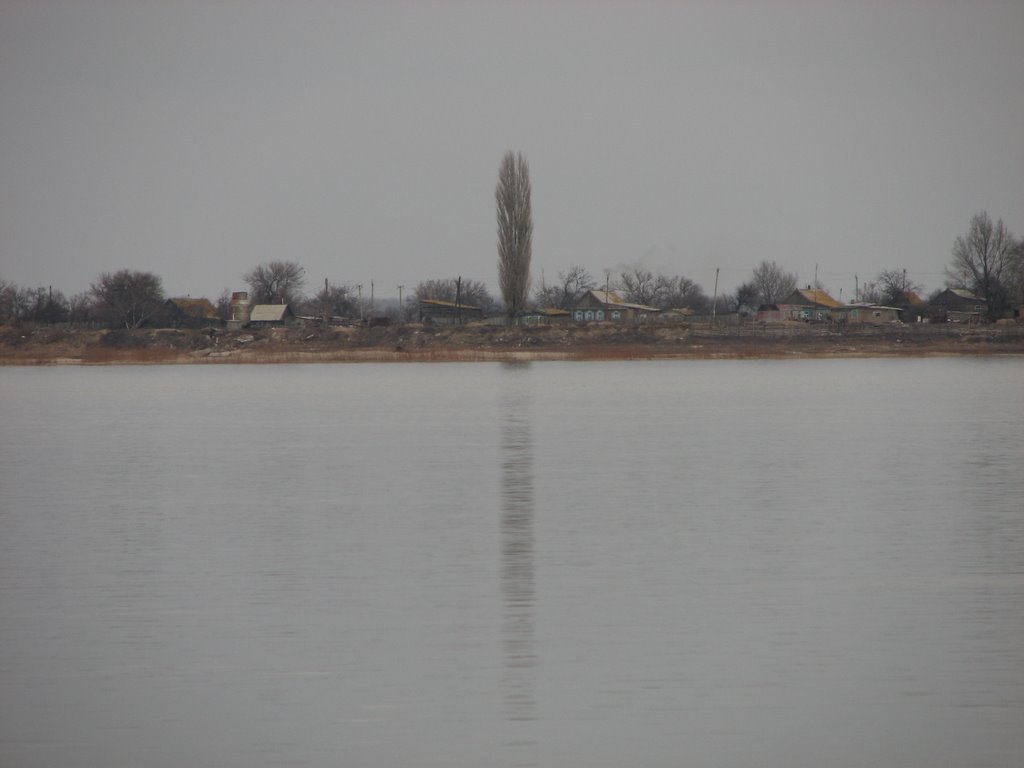 Одинокий тополь в Лебяжьем