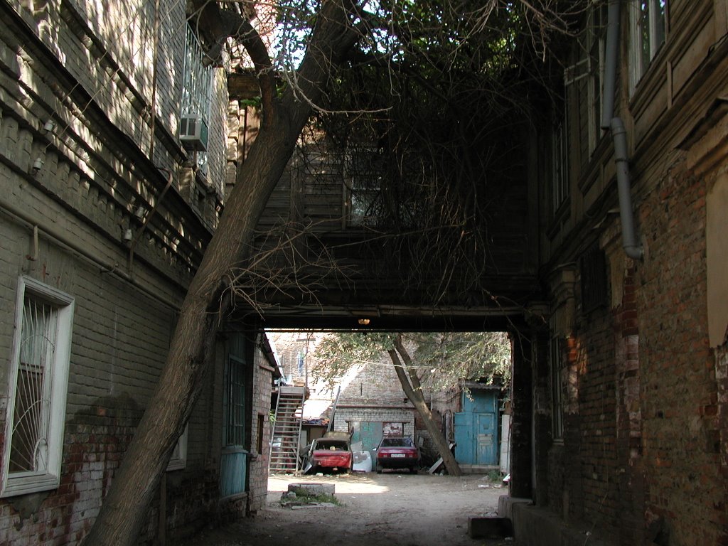 Backyard in the wooden Astrahan