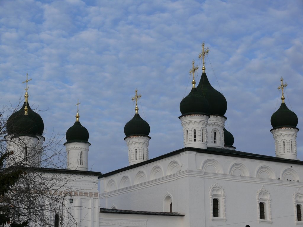 2008г.
