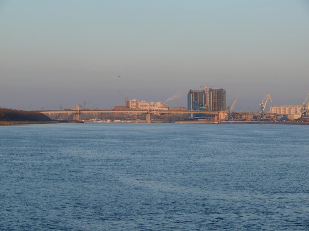 2008г.