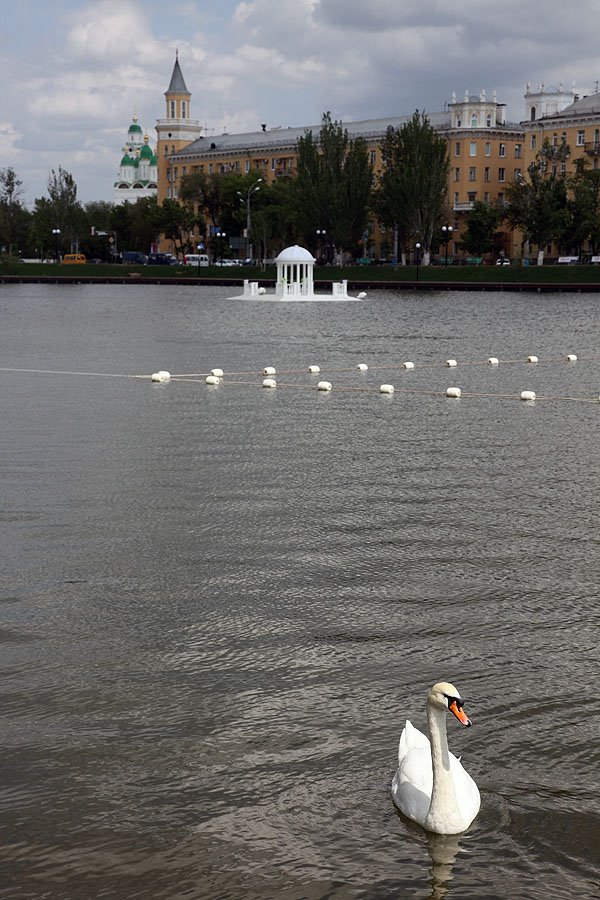 Swan Lake, Astrakhan City