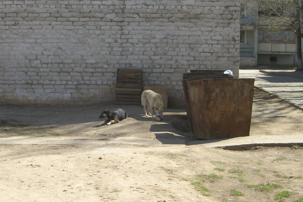 Двор Жуковского 26