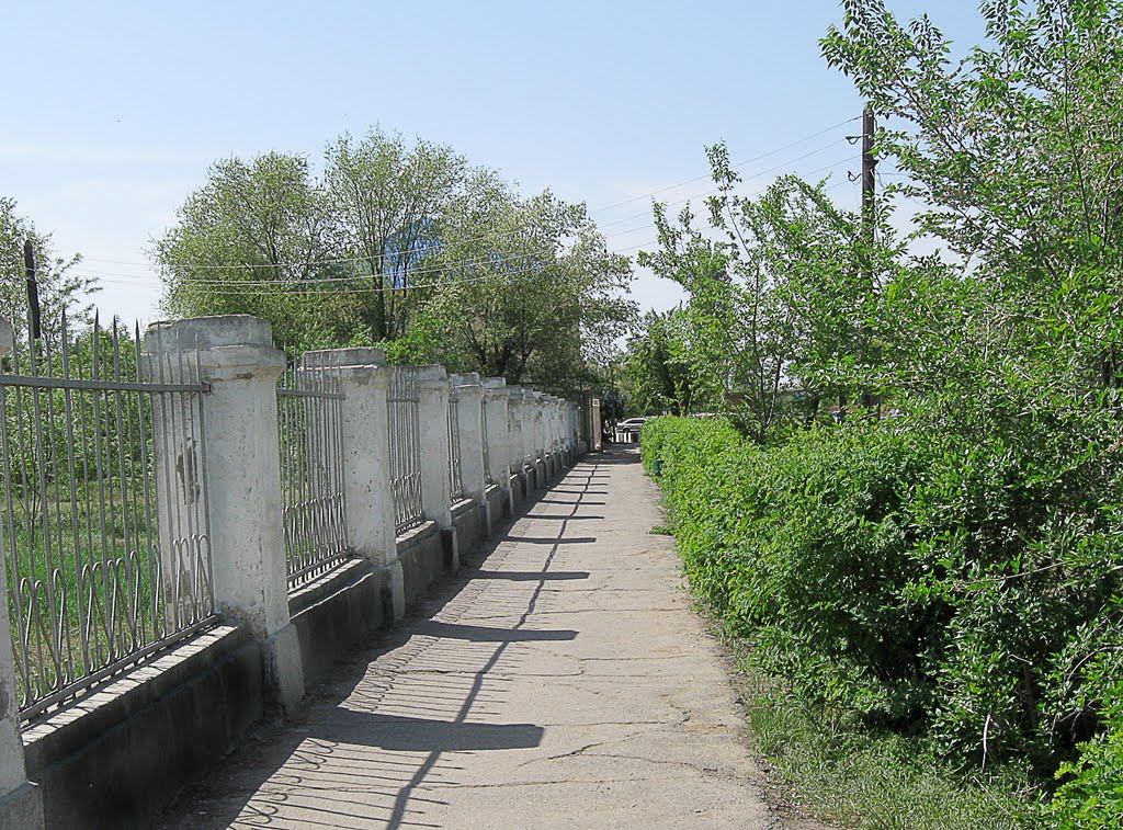 Дорога вдоль парка