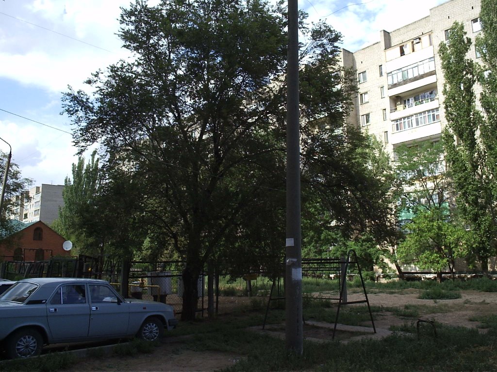 наш двор