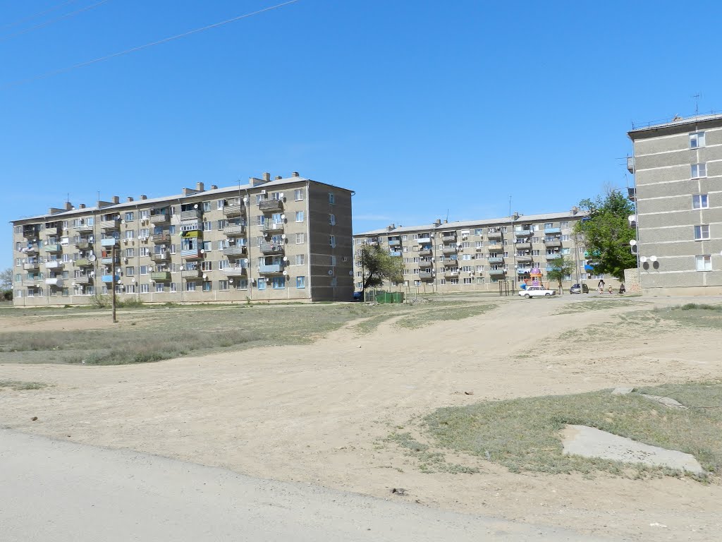 Столько тарелок мы не видели никогда