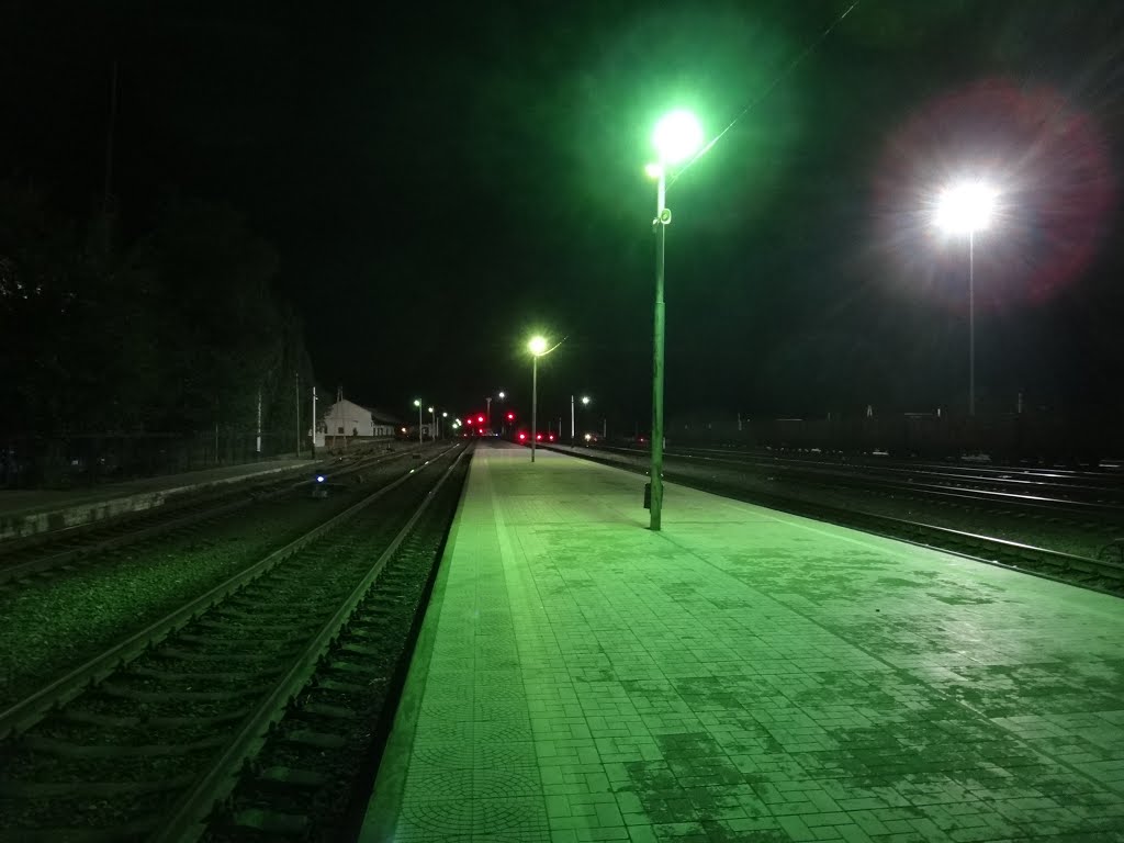 Станция Верхний Баскунчак, Вид в сторону Ахтубинска