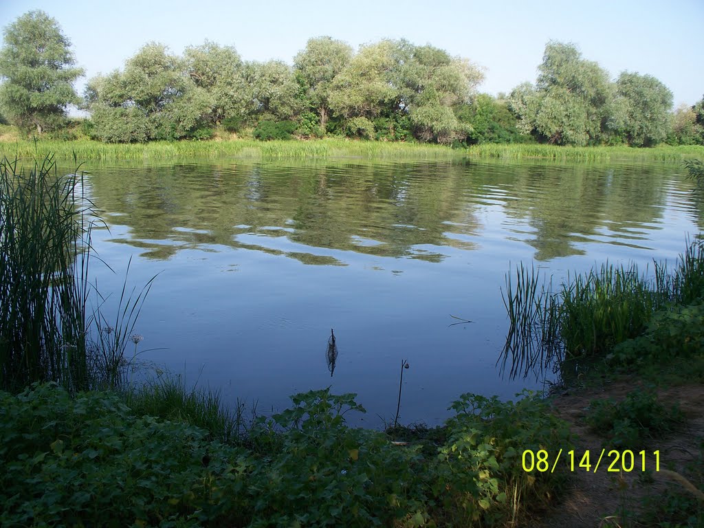 Ждём поклёвки