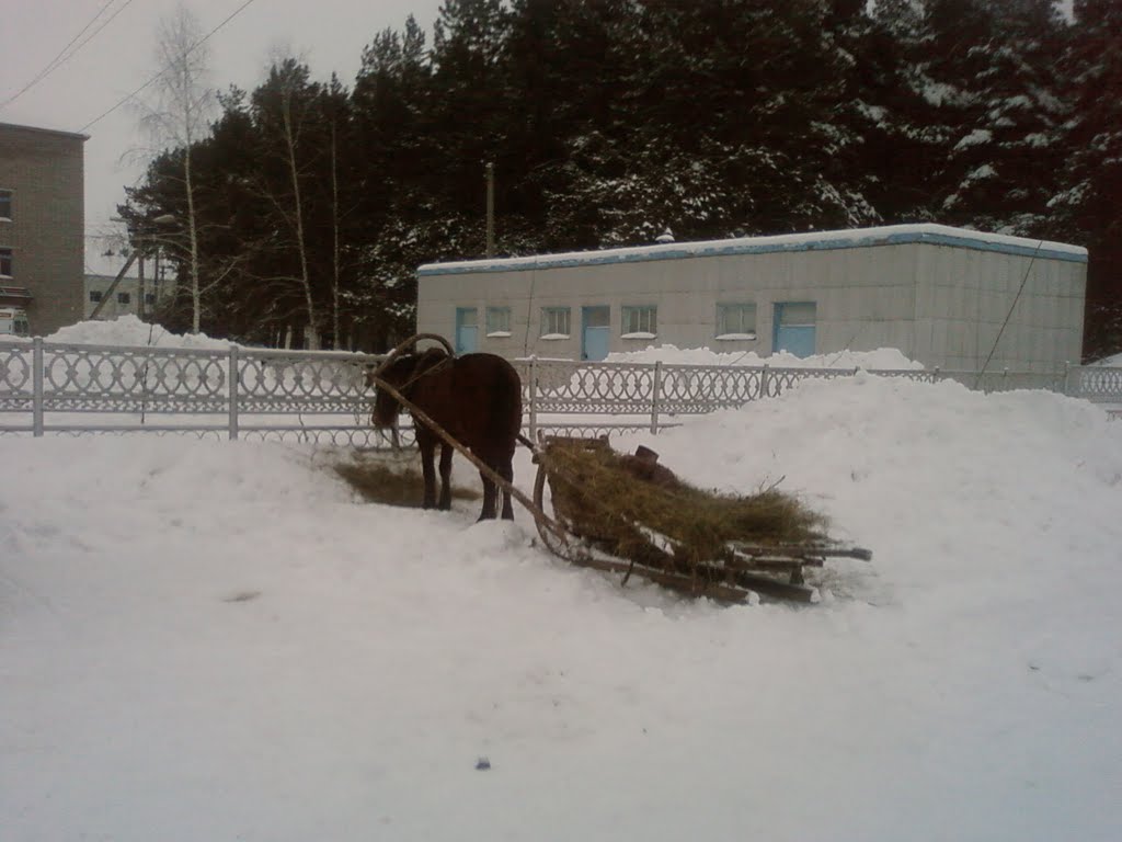 Повозка у больницы