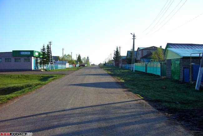 Центральная улица