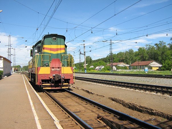 Тепловоз/Disel locomotive