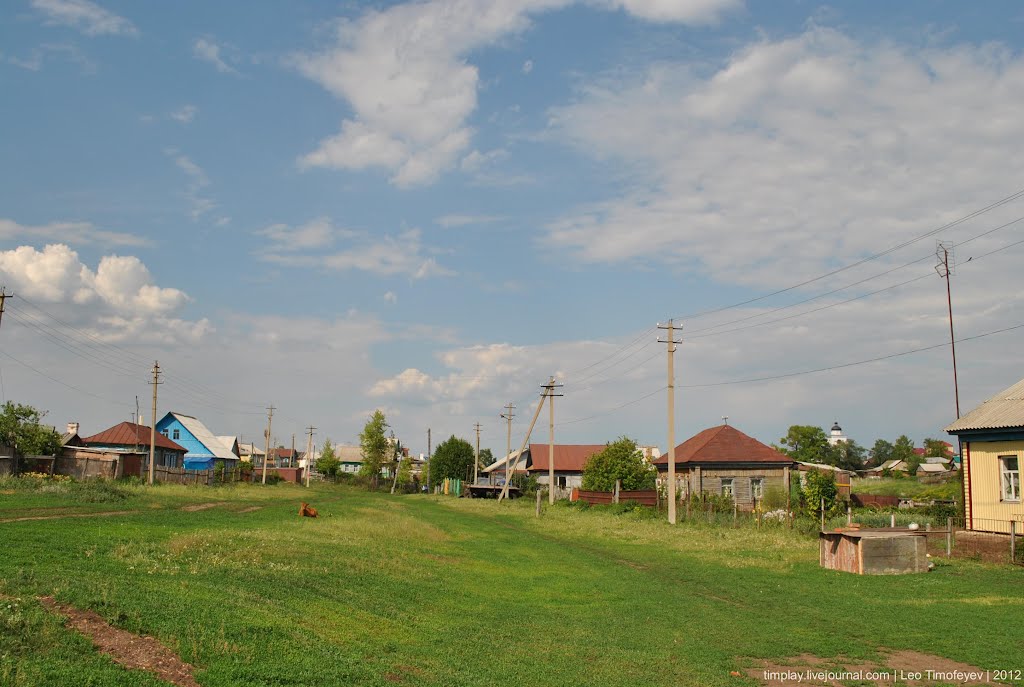 с. Надеждино 2012
