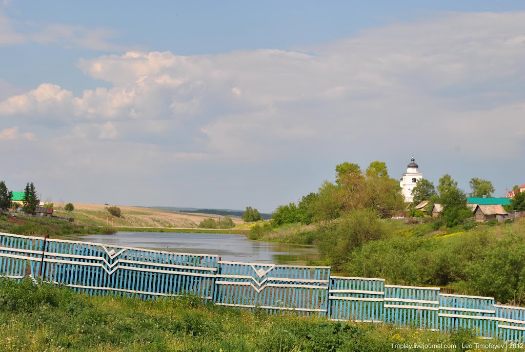 с. Надеждино 2012