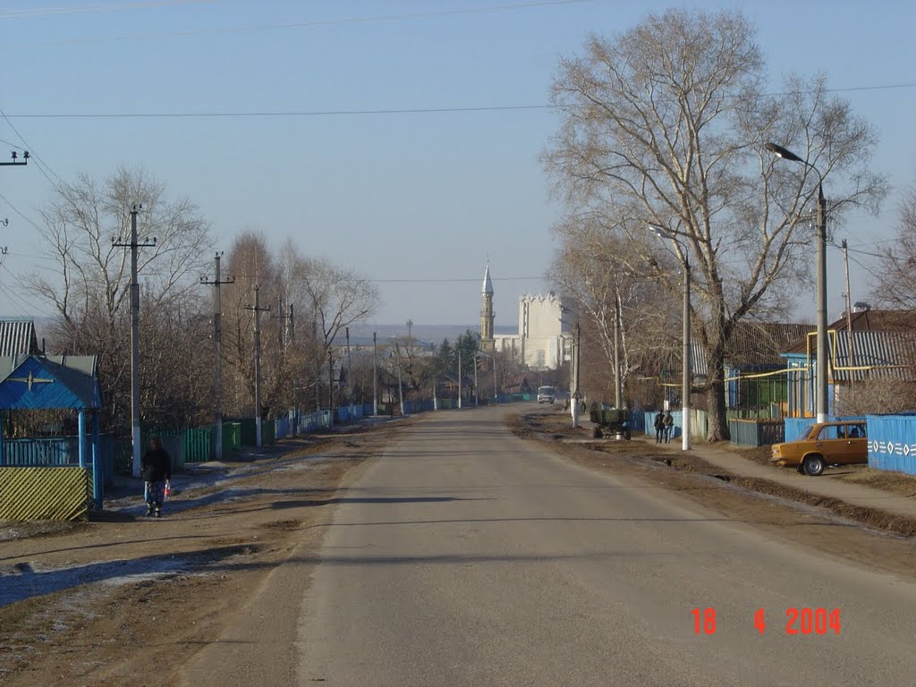 c.Бакалы ул.Ленина (вид на мечеть)