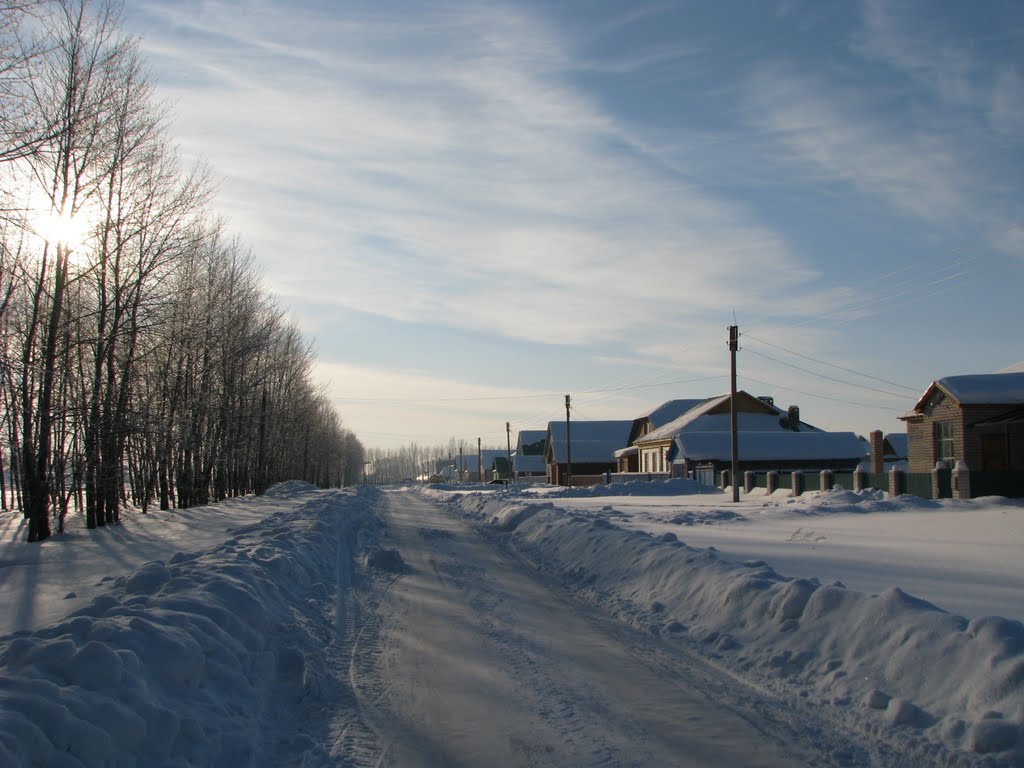 Село Бакалы, улица Костина (1)