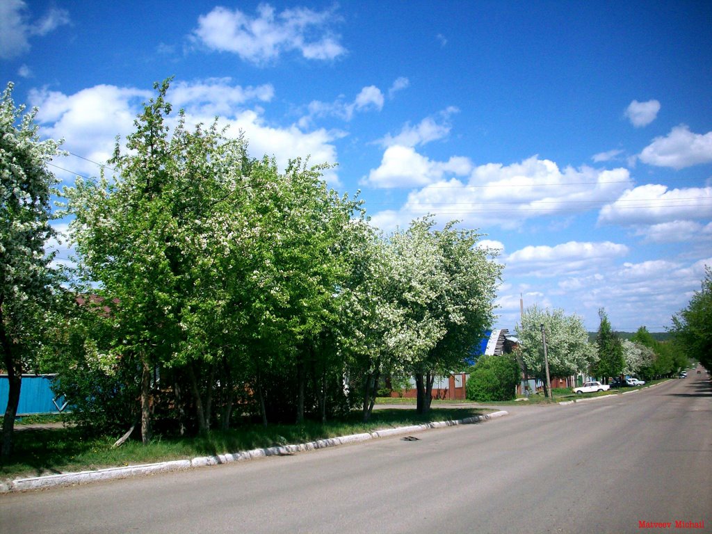 Red str. "Spring"