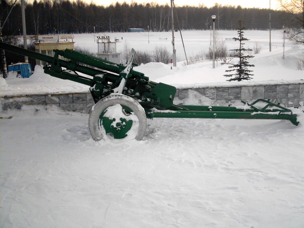 Gun