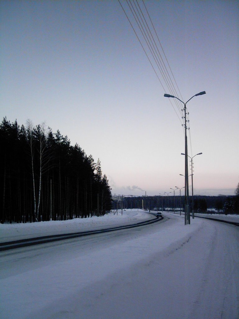 Дорога в город