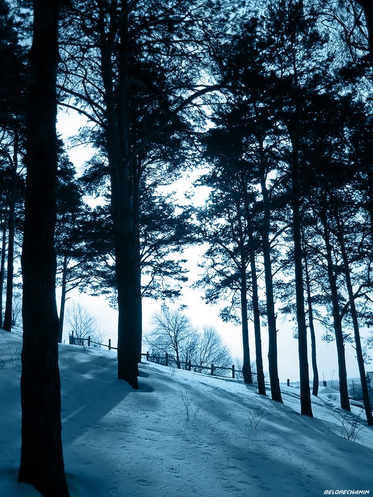 В окружении гигантов.. (In an environment of giants..)