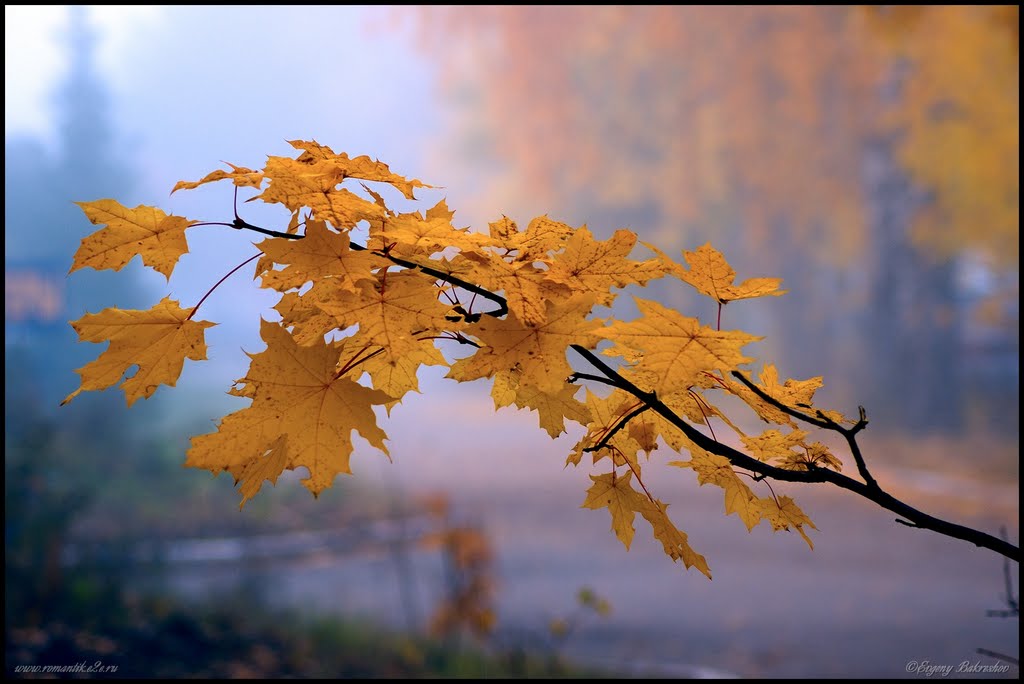 В городе туман (3) In a city a fog