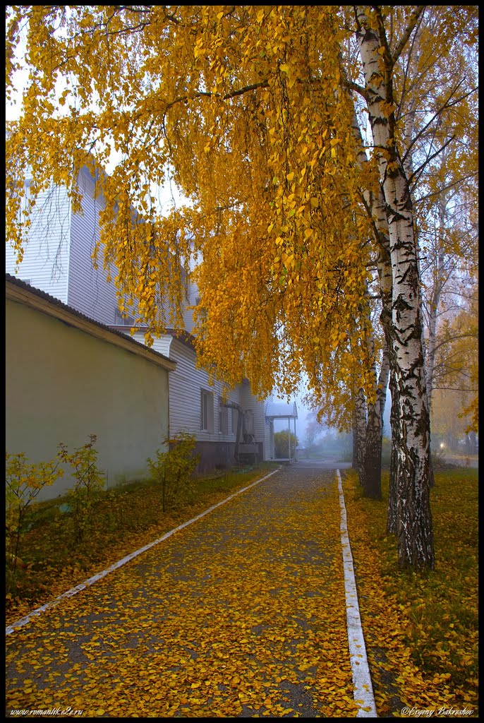 Золотая аллея (Gold avenue)
