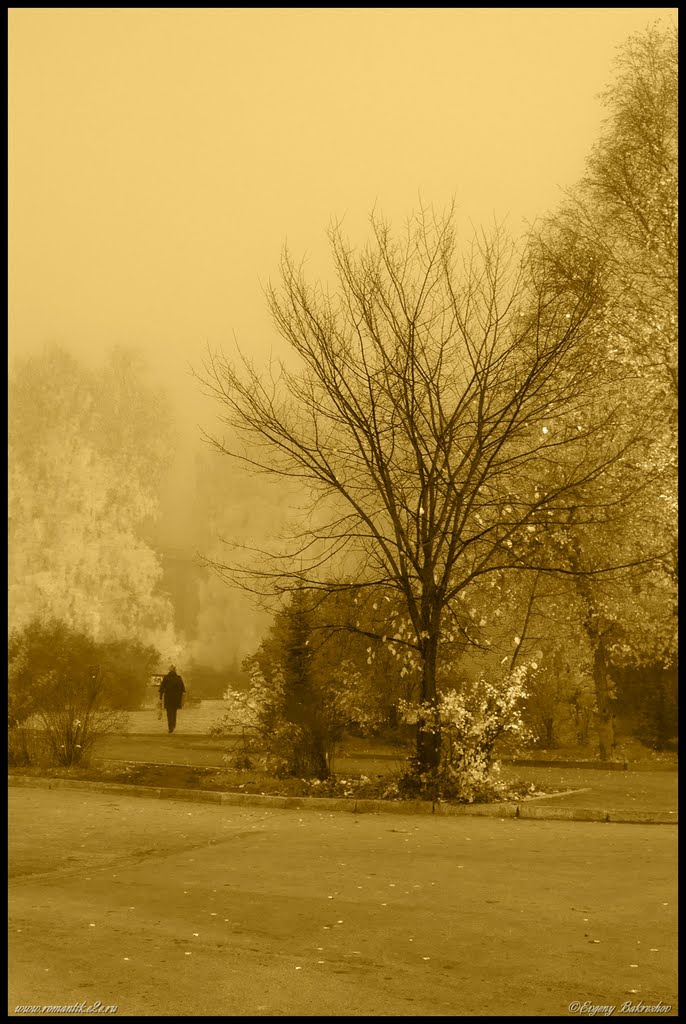 Осеннее настроение (Autumn mood)