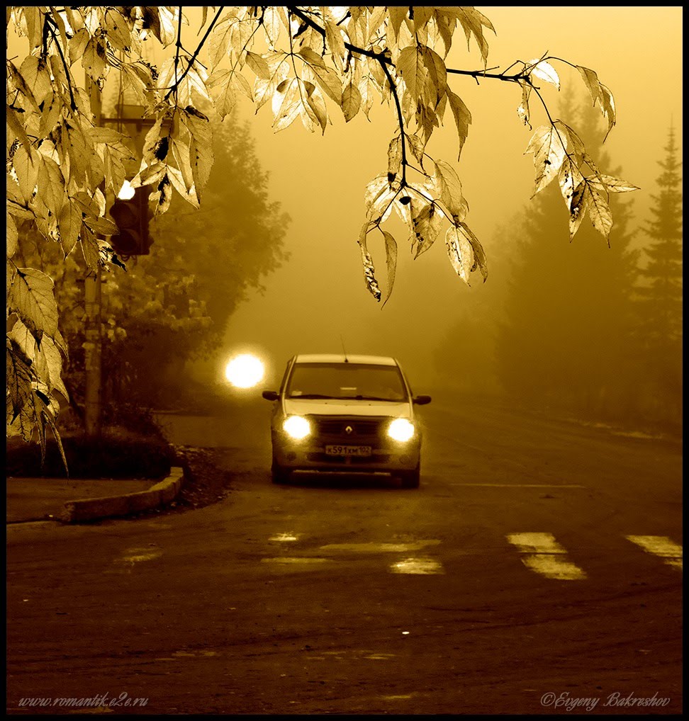 Магия осеннего утра (Magic of autumn morning)