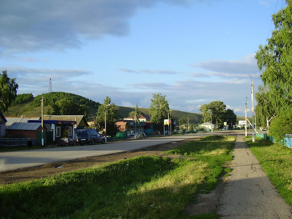 Дорога в Центр
