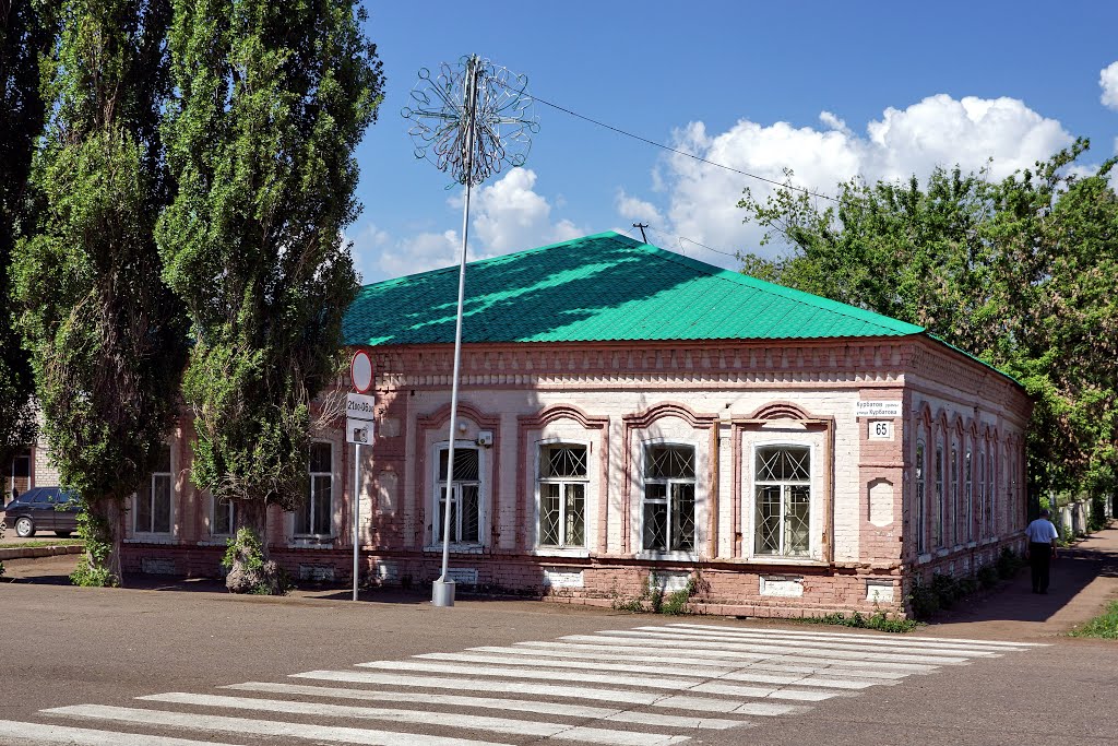 65 Kurbatov St.
