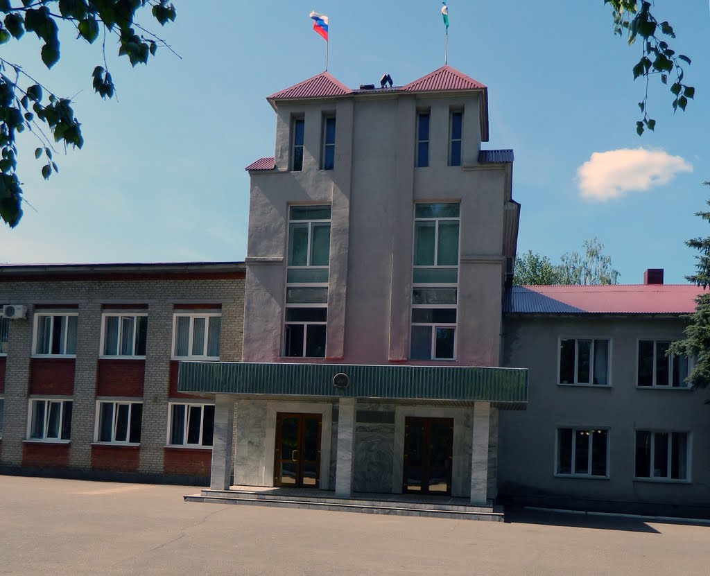 Здание Администрации г. Бирск