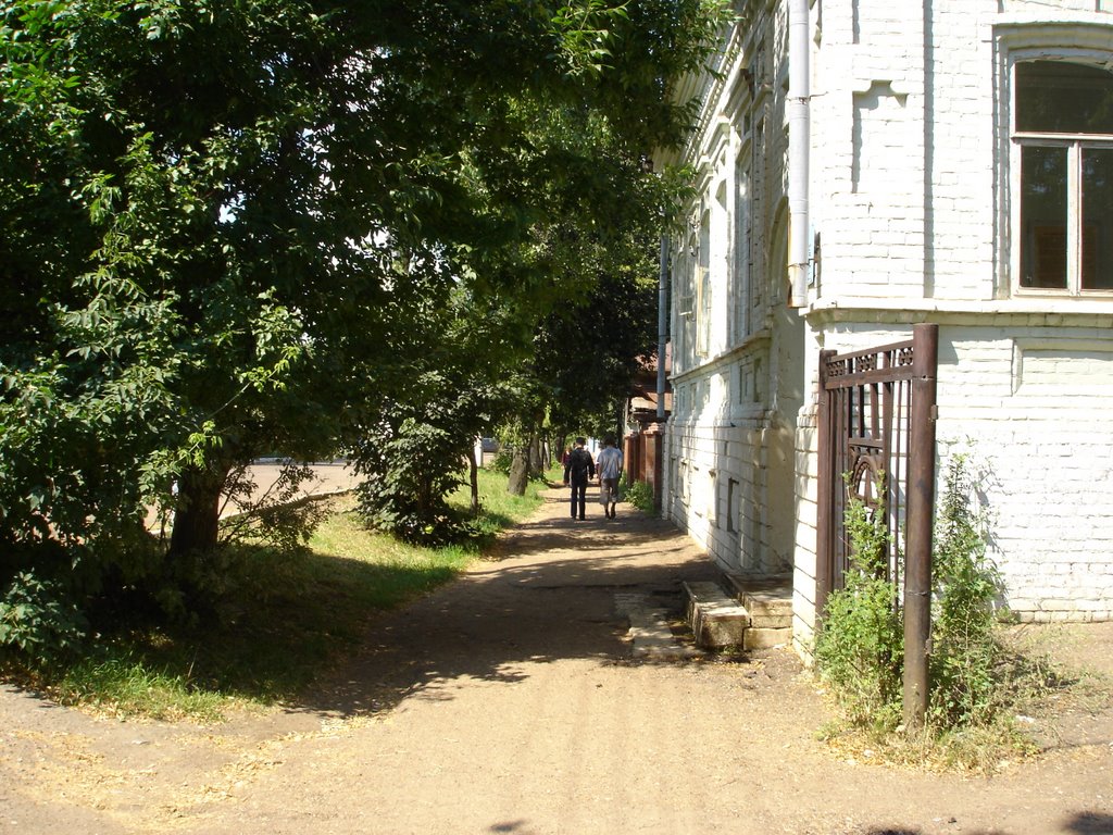 Летом по городским улочкам...(улица Ленина)