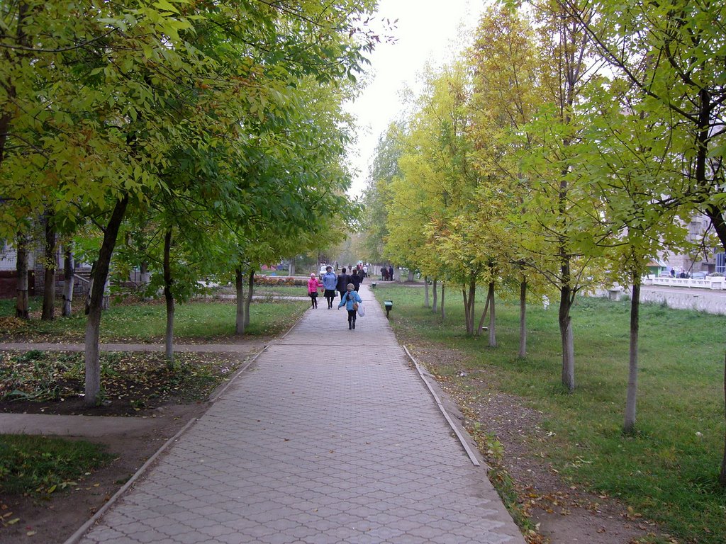 Около остановки Аптека