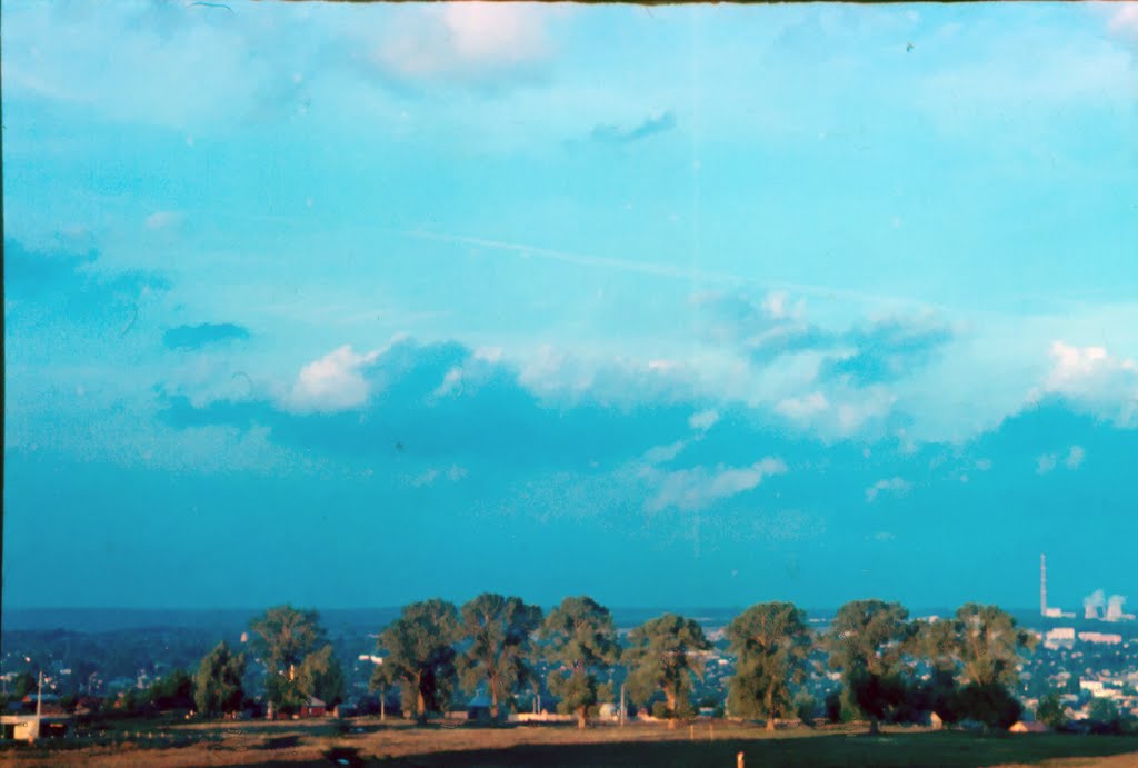 9 тополей. 1994г.