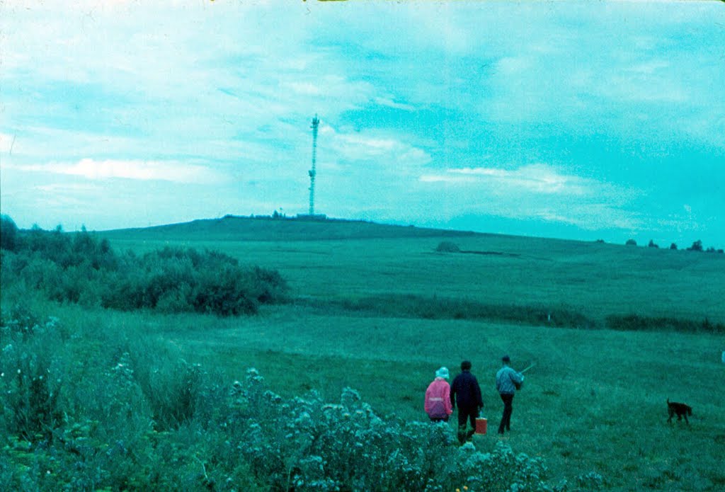Август. 1989 года