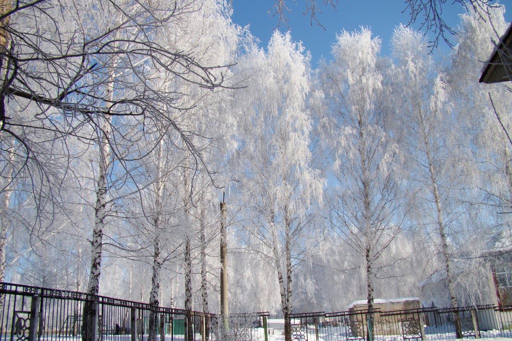 Во дворе возле школы № 4