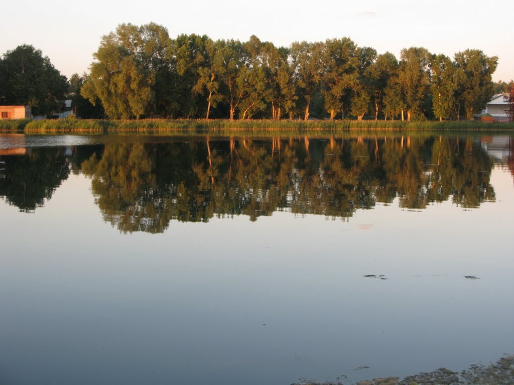 Как в зеркале / Mirror Reflection