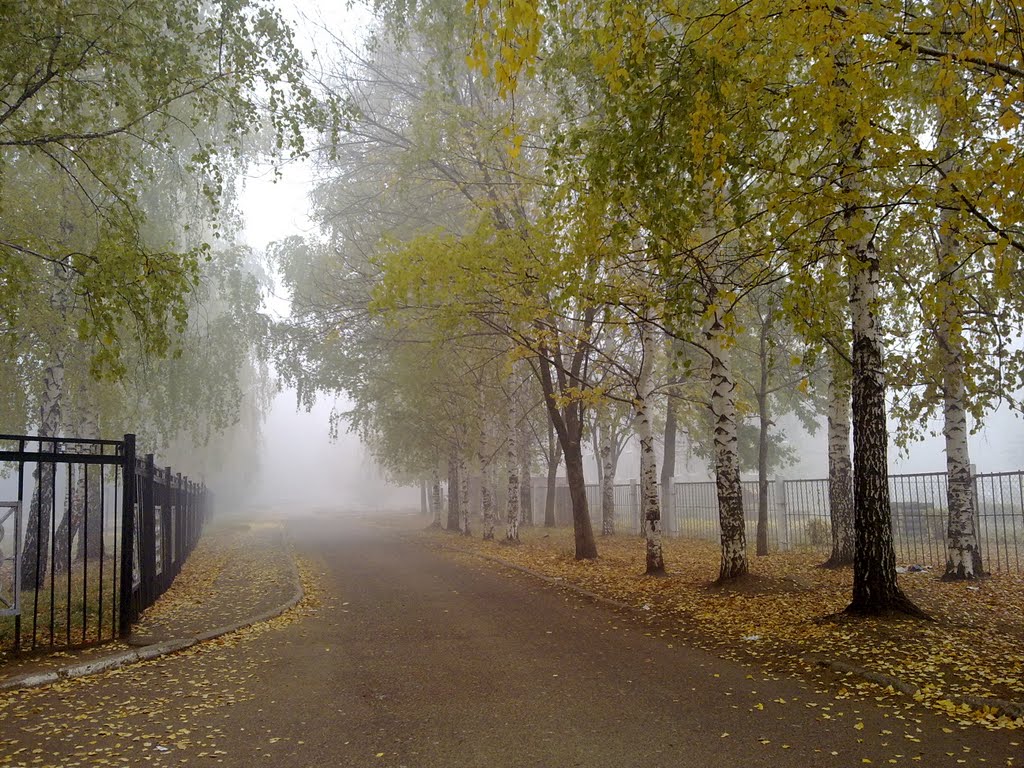 Утро. Туман. 10.10.2010.