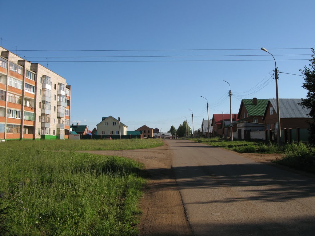 ул. Чистякова / Chistyakova Str.