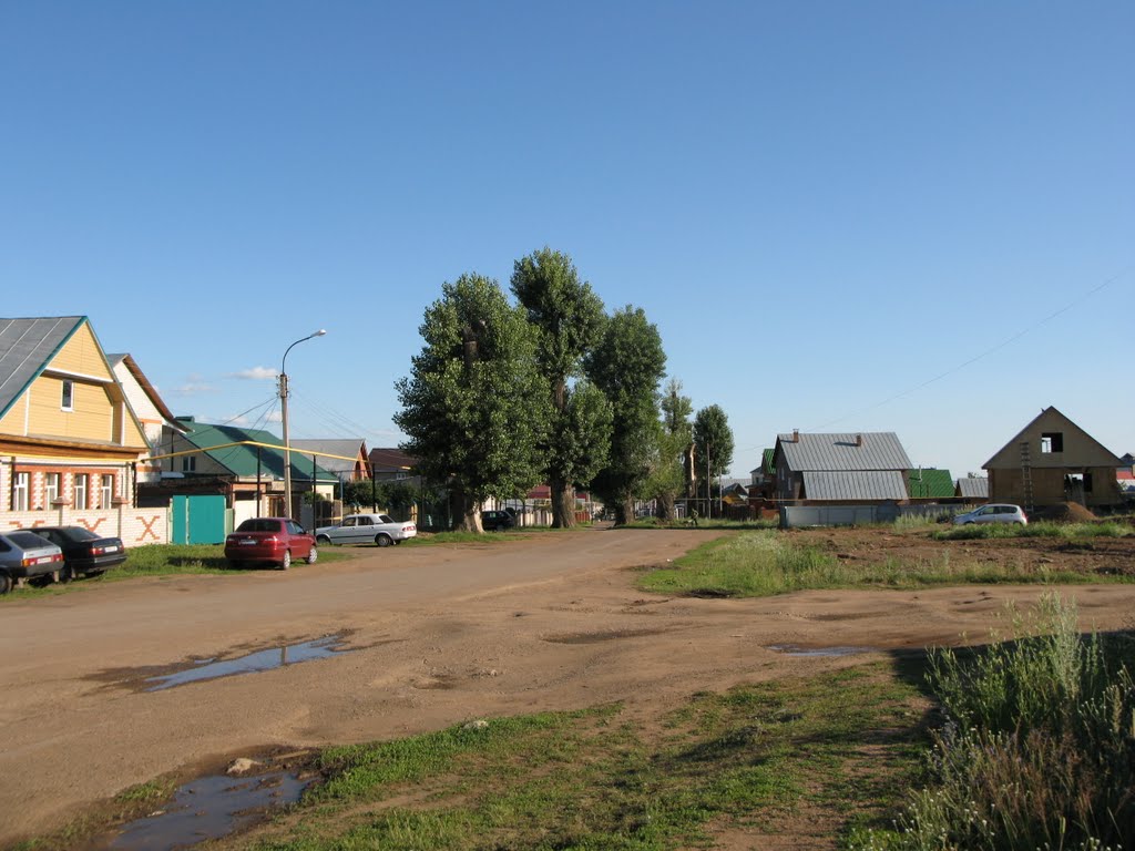 ул. Чистякова / Chistyakova Str.