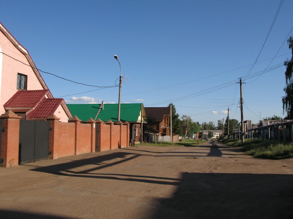 ул. Чистякова / Chistyakova Str.